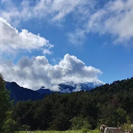 Bordes Pirineu, Costuix